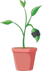 A potted plant vecter illustration