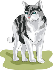 Cute cat looking at the side