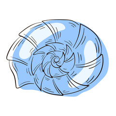Seashell nautilus in line art style. Undersea, underwater logo for sea food shop, restaurant and package. Vector illustration isolated on a white background.