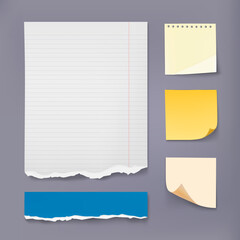 Note sheet. Notebook page. Torn edges. Ripped reminder. Folded corners. Sticky memos. Empty notepad. Office stationery. Write message. Crumpled notice piece. Memory sticker. Vector blank notepaper set