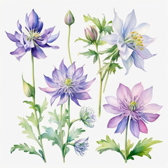 Fototapeta premium set of watercolor painted flowers