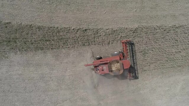 Harvesting soybean drone aerial Plong&eacute;e camera horizontal soybean harvester 2