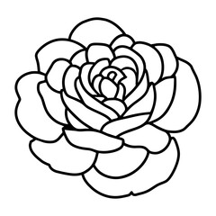 Hand drawn simple flower illustration