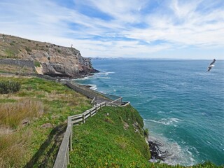 Royal Albatros Centre, Dunedin, New Zealand. Sea view, waves breaking on the cliffs and albatros flying. Lighthouse in the distance. Clear sunny day in the summer by the ocean.