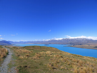 Lake Tekapo viewed from Mt. John Observatory. Clear blue waters in the summer. New Zealand South Island, Aoraki National park. Mountains in the background.