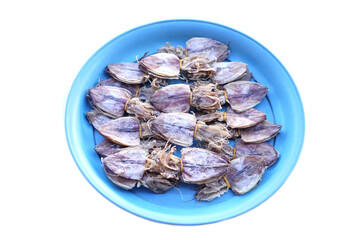 Dried squids in tray, isolated on white backgound. Concept, food  product from food preservation process, can be cooked in various menu.            