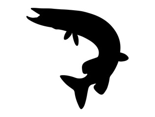 Northern pike fish silhouette vector art white background - obrazy, fototapety, plakaty
