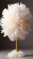 Fototapeta premium white feather on black background