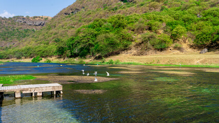 Wadi Darbat in the Dhofar region of Oman