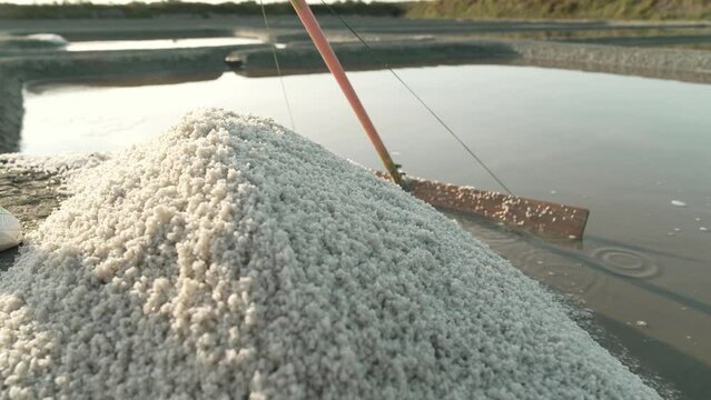 Bretagne Salzg&auml;rten Gu&eacute;rande Fleur de Sel wird mit Schieber auf einen Haufen geschoben