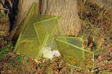 large sharp  dangerous green pieces of glass on the ground near a tree on the street during the day