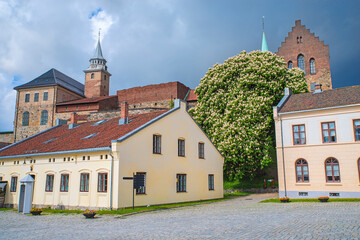 Akershus fortress view during spring
