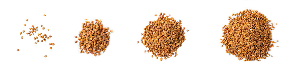 Buckwheat. Buckwheat grain isolated on white background. Healthy food. Porridge. Diet. Organic cereal