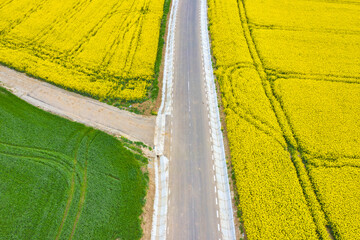 Rural road between colored fields, aerial view