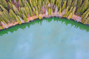 Mountain lake surrounded by forest from above - 703418352