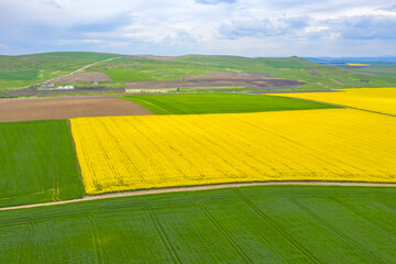 Aerial view of agriculture fields during spring - 703418369