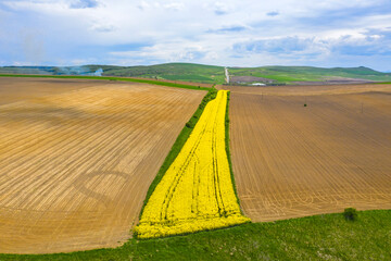 Aerial scene with small canola field - 703418370