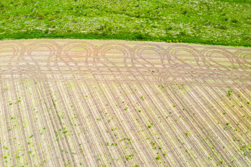 Aerial view of tractor tracks on the field - 703418374