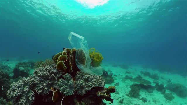 Discarded plastic rubbish bags floats on a tropical coral reef presenting a hazard to marine life. Ecological problem.