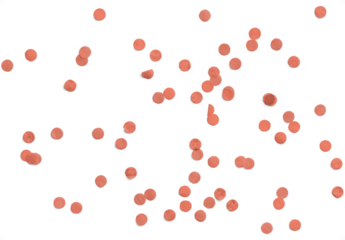 Peach Confetti 1