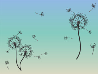 Abstract dandelion background for design. The wind blows dandelion seeds. Template for posters, wallpapers, posters. Vector illustration.