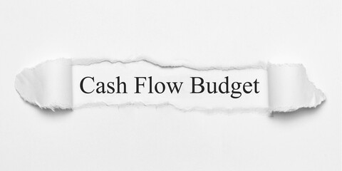 Cash Flow Budget	