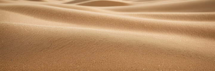 Fototapeta na wymiar sand ripples in the desert