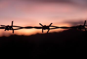 Silhouette of barbed wire on yellow sunset background. barbed wire fence silhouette at orange...