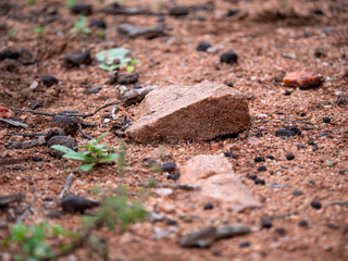 Caillou sur un sol avec du sable, des mauvaises herbes et du gravier