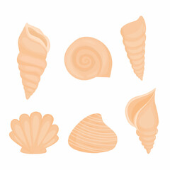 set of seashells, sea shells with pastel color