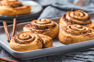 Homemade cinnamon rolls on a gray earthenware tray on gray background