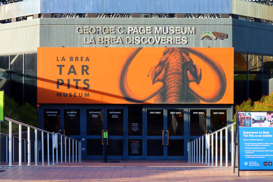 Los Angeles, California &ndash; October 13, 2023: LA BREA TAR PITS and Museum, one of the world's most famous fossil excavation sites located at 5801 Wilshire Blvd, Los Angeles