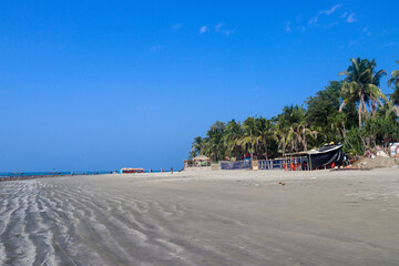 Palm Paradise, Relaxing on the Beaches of Narikel Jinjira, Saint Martin Island, Teknaf, Bangladesh