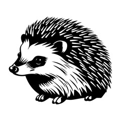 Cute Hedgehog Vector