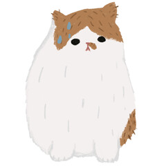 Cute orange fat cat with sweat