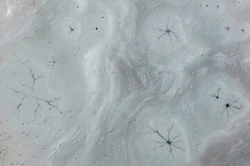 water drops on the window