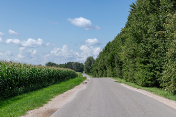 paved road in sunny weather