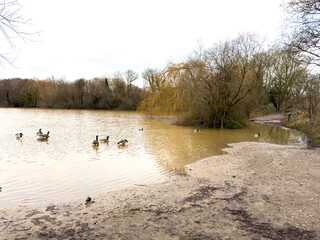 Flooding at Thatcham Lakes in West Berkshire January 2024