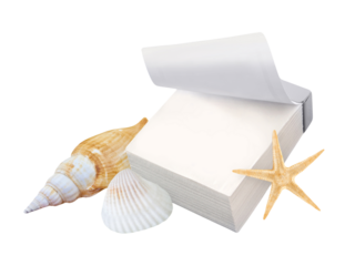 Kalender und Muscheln mit Seestern  Hintergrund transparent PNG cut out