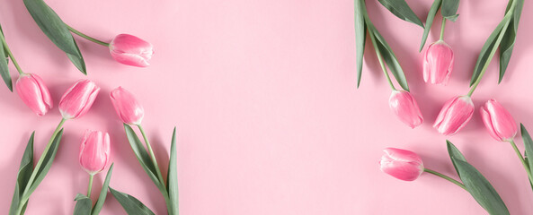 Flowers pink composition. Flowers pink tulips on pastel pink background. Wedding. Birthday. Happy...