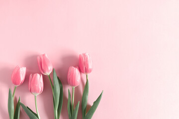 Flowers pink composition. Flowers pink tulips on pastel pink background. Wedding. Birthday. Happy...
