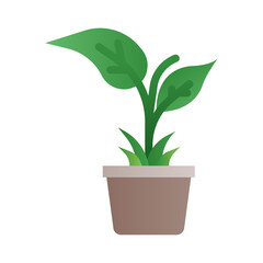 Plant icon in gradient fill style with high vector quality suitable for ui and spring needs
