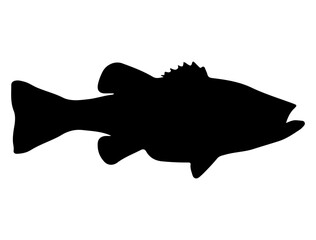 Bass fish silhouette vector art white background