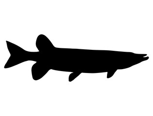 Muskellunge fish silhouette vector art white background