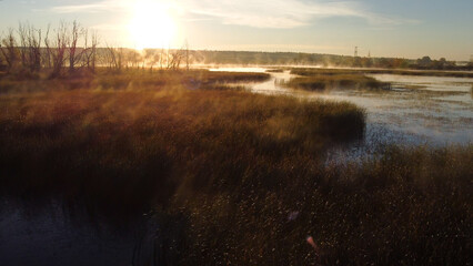 Colorful fog over the lake in autumn at dawn