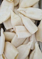 Tubes of squid cleaned in a refrigerated counter, close-up. Supermarket. Raw squid, top view