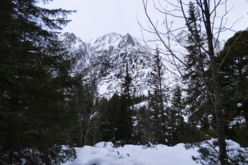 Popradske pleso (Poprad tarn) - High Tatras, Slovakia. Winter hike in snowy mountains