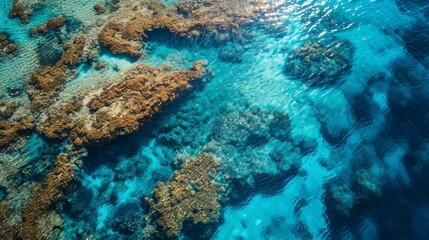 Naklejka na ściany i meble Nature's Aquatic Tapestry: Barrier Reef from Above