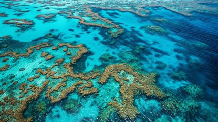 Fototapeta na wymiar Eco-Kaleidoscope: Aerial View of a Lush Barrier Reef