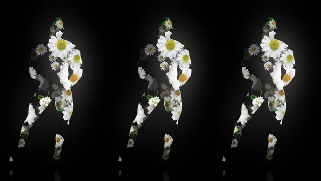 BodyBuilder silhouette in Flowers Romashka Camila Trio on Black Ultra HD Video Art Video VJ Loop